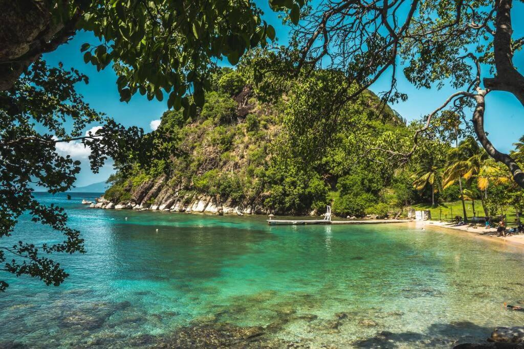Caraibes Cottage Grenat Piscine Privee 900M De Grande Anse Deshaies Esterno foto