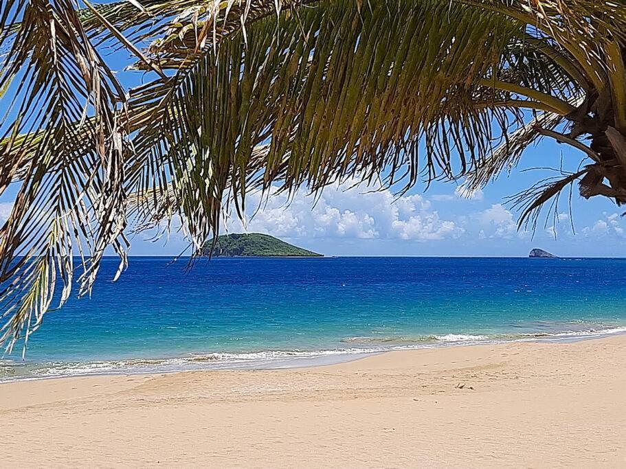 Caraibes Cottage Grenat Piscine Privee 900M De Grande Anse Deshaies Esterno foto