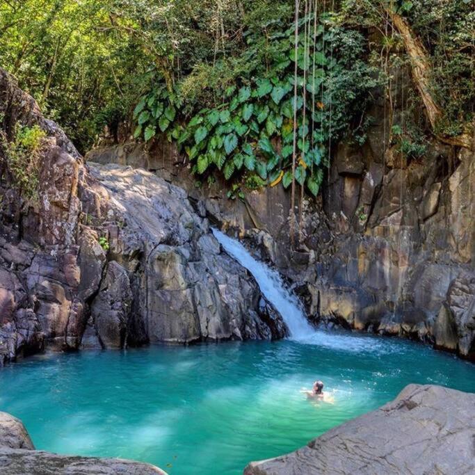 Caraibes Cottage Grenat Piscine Privee 900M De Grande Anse Deshaies Esterno foto