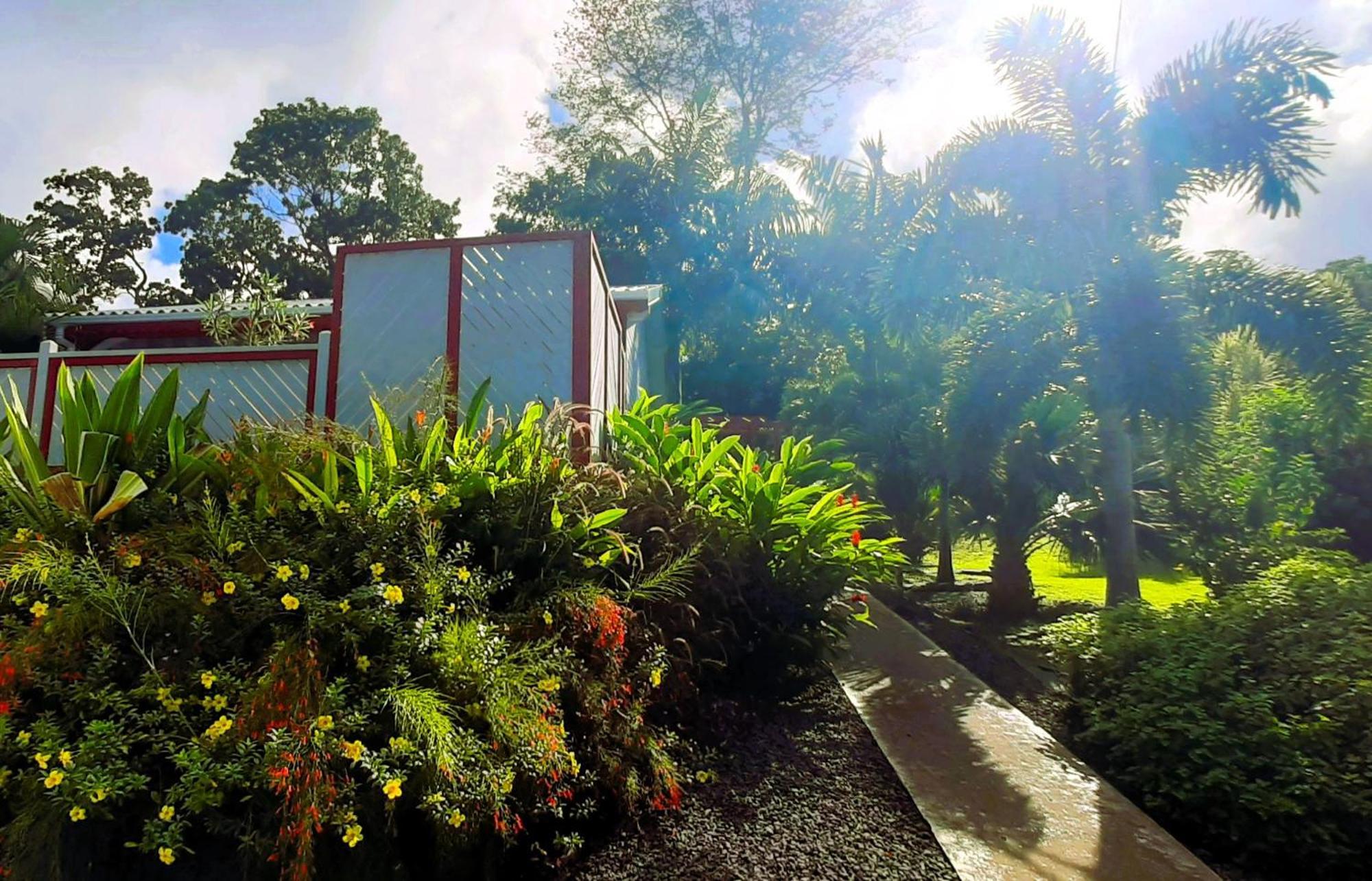 Caraibes Cottage Grenat Piscine Privee 900M De Grande Anse Deshaies Esterno foto