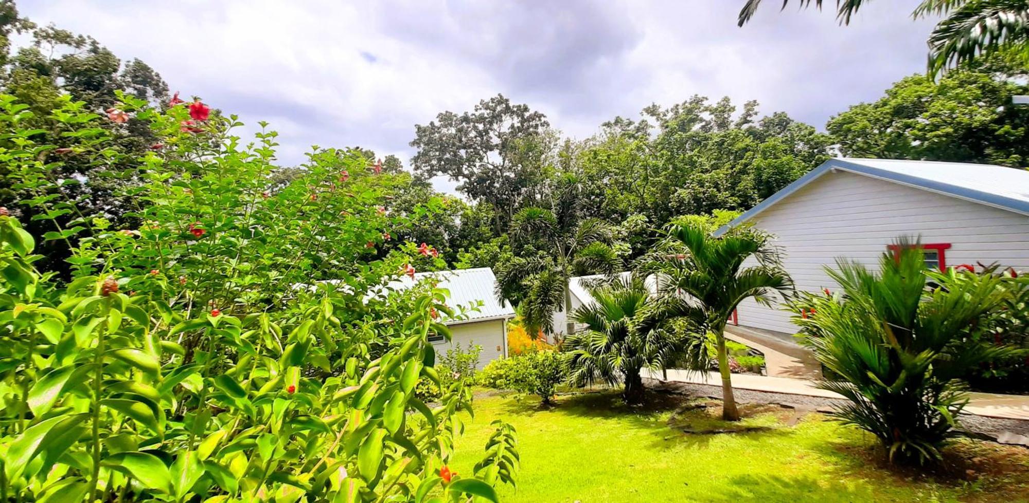Caraibes Cottage Grenat Piscine Privee 900M De Grande Anse Deshaies Esterno foto