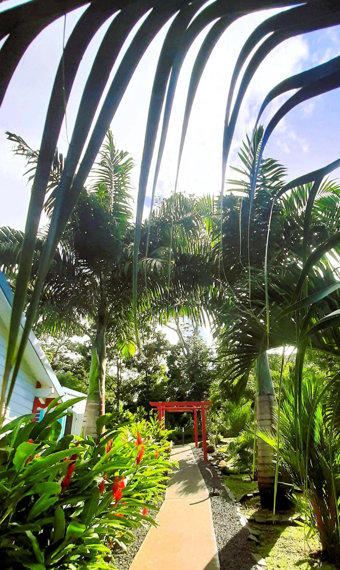 Caraibes Cottage Grenat Piscine Privee 900M De Grande Anse Deshaies Esterno foto