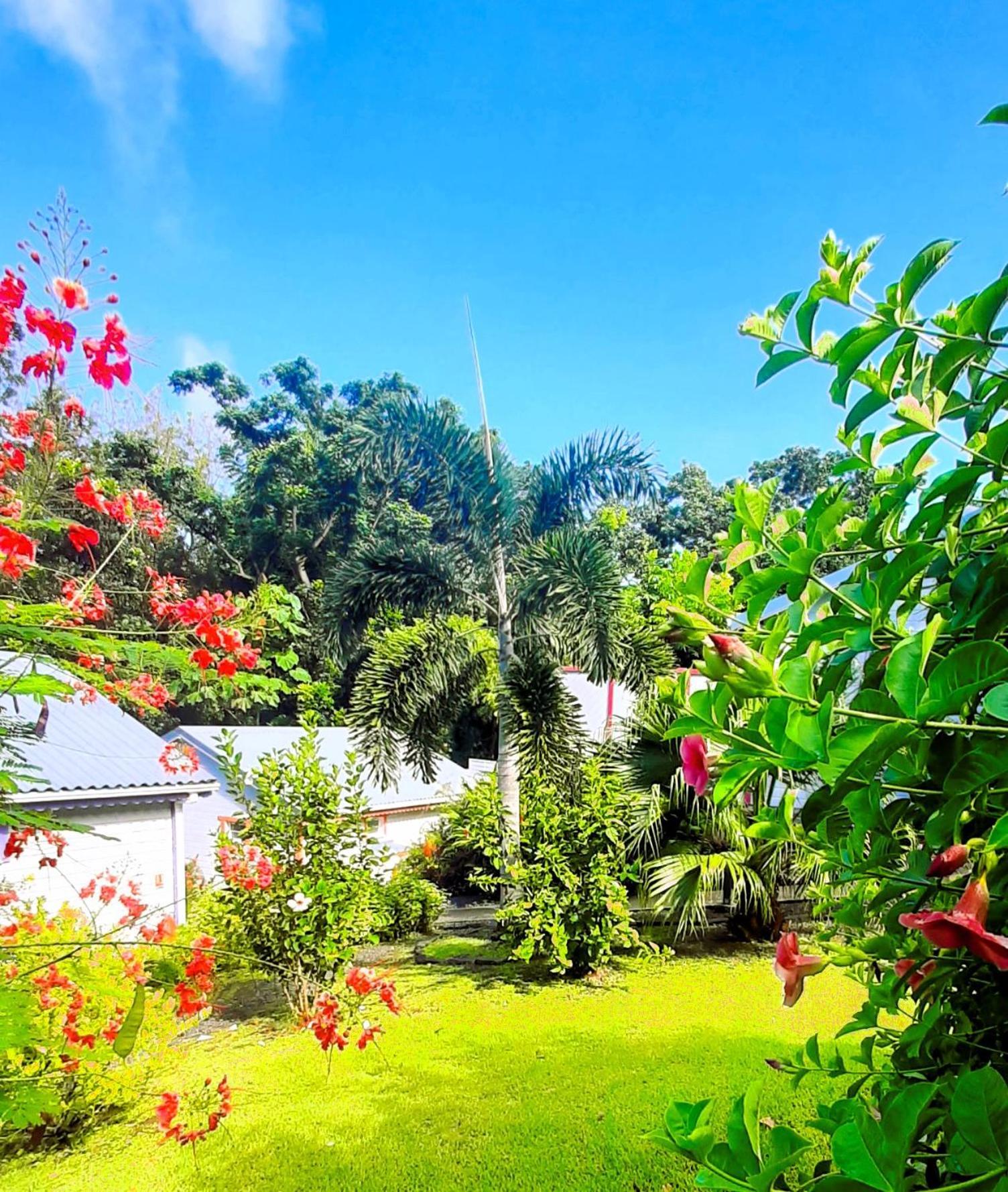 Caraibes Cottage Grenat Piscine Privee 900M De Grande Anse Deshaies Esterno foto
